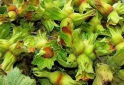 Destek başvurularında son gün 30 Aralık