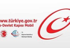 E-Devlet nedir ve nasıl kullanılır?