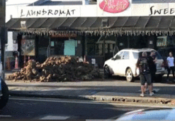 Kafetaryanın kapısına 40 ton pislik yığdı