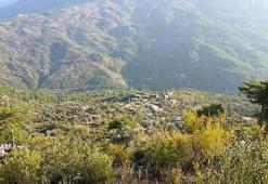 Ruhsat skandalını mahkeme durdurdu