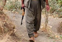 PKK orada kamp kurdu!