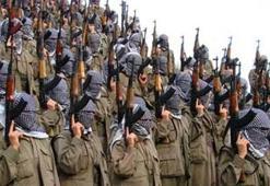 Yılın son ayında PKK'ya ağır darbe