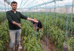 Mersin'de sel felaketinin bilançosu ağır