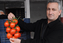 Domatesin fiyatı yüzde yüz arttı