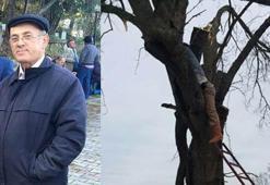 Kestiği ağacın dalı ile gövdesi arasında kaldı