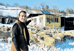 Genel Başkan çoban, parti binasını ahırın yanına kurdu