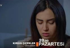 Kırgın Çiçekler 67. bölümünde Meral intihar mı edecek?