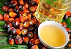 Palm yağı nedir? Palm yağı hangi ürünlerde ve ne amaçla kullanılır?