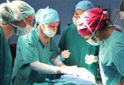 Türkiye'den 3 kıtaya organ nakli için teknik destek