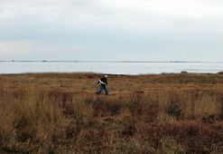 Petrol sızıntısı Hersek Lagünü'nü de kirletti...