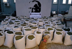 Diyarbakır'da 2 ton 939 kilo esrar ele geçirildi
