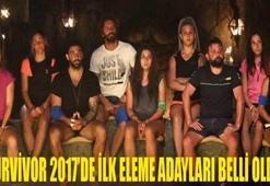 Survivor 2017'de eleme adayları belirlendi! Hangi isim elenecek?