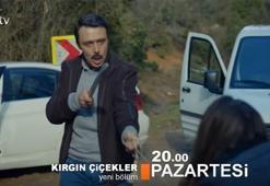 Kırgın Çiçekler 69. bölümünde Kemal Eylül'ü kaçırıyor!