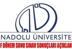 AÖF Final sınav sonuçları açıklandı! (14-15 Ocak 2017 Açıköğretim sınavları)