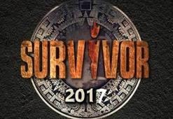Survivor 2017'de bu hafta elenen isim...