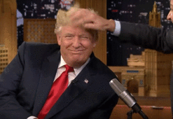 Trump'ın saçları meğerse...