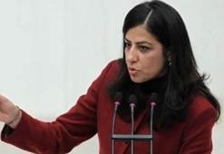 HDP’li eski vekile 95 yıl hapis istemi