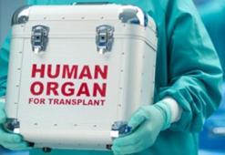 'Organ nakli için Türkiye'ye gelen hasta sayısı 2 kat arttı'