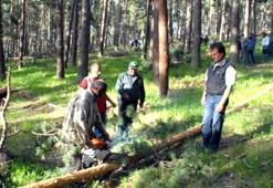 Köylüye 55 bin TL ağaç desteği geldi