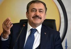 Bakan Eroğlu açıkladı: Barajlarda...