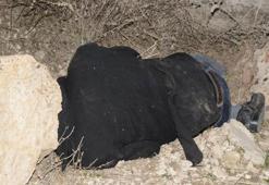 Kayıp zihinsel engelli ölü bulundu