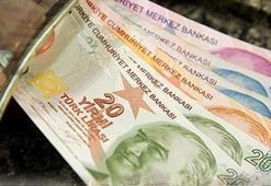 Bakanlık harekete geçti! 600 milyon liralık ödenek