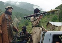 Taliban: Ağaç dikin!