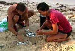 Survivor Adem şov yaptı!