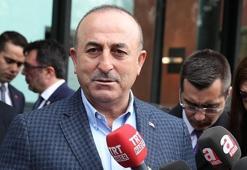 Çavuşoğlu: Sen ne lalesisin bilmiyorum ama...