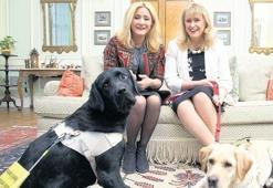 Görme engelli kadına ‘rehber köpek’ engeli
