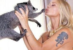 ‘Rakun’lu erotik videoya dava