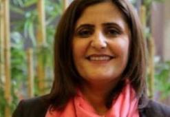 HDP'li vekil gözaltına alındı