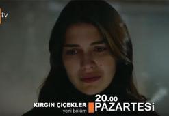 Kırgın Çiçekler 77. yeni bölüm fragmanı yayınlandı mı?