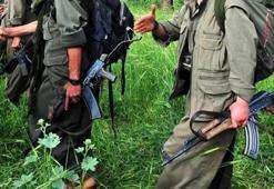 4 terörist yakalandı