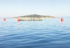 Ayvalık kazandı