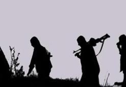 Bitlis’te PKK'ya ağır darbe! O teröristler de öldürüldü