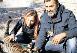 Kedi köyüne 54 bin TL ceza