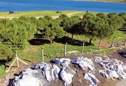 İstanbul'da alarm! Sıra mezarlıklara geldi