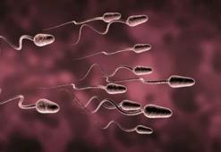 Cep telefonundan sperm testi!