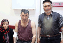 Köye inen aç kurt dehşeti: 4 yaralı