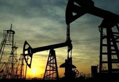 Doğalgaz hamlesi! İsrail ve Kıbrıs...