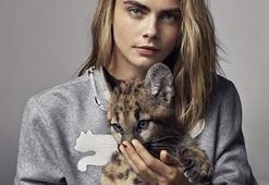 Cara Delevingne yavru aslanla poz verdi