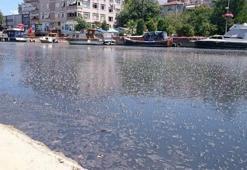 Topbaş'tan Kurbağalıdere açıklaması!