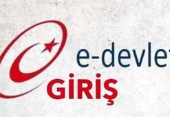 E-Devlet sorgulama işlemleri nasıl yapılıyor?