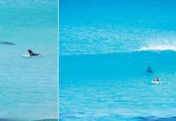 Jaws sörfçü kızı parçaladı