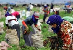 6,5 milyon işçi için düğmeye basıldı!