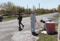 Niğde'de kuş gribi alarmı!