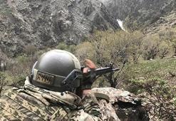 PKK'ya "bahar" operasyonu
