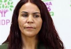 HDP'li vekil tahliye edildi