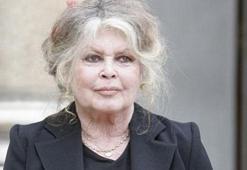 Brigitte Bardot: Macron'a oy vermeyin!
